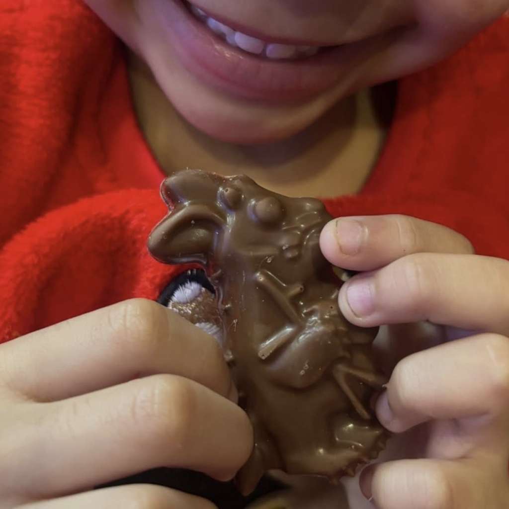 Gruffalo's Child Chocolate Bites - Image 3